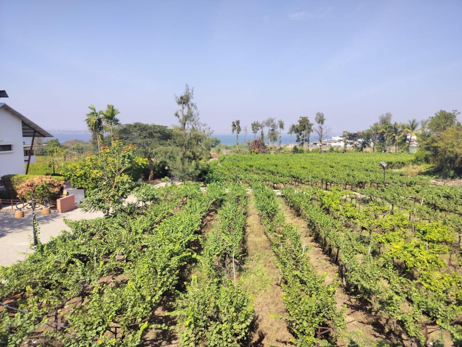 Soma Vineyard Resort -Nashik Exteriör bild